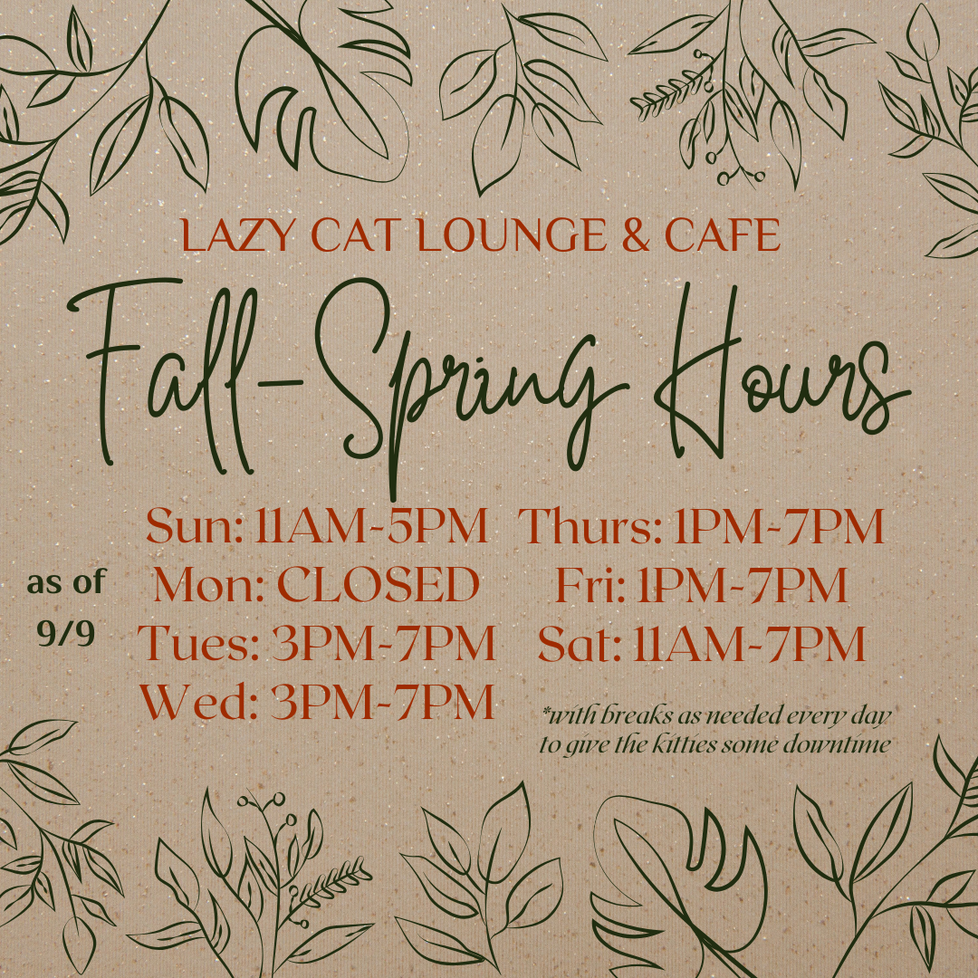 Reservations — Lazy Cat Lounge & Cafe